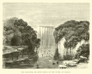 A remansók, vagyis a folyó csendes zugai Canarinál alkotó: Edouard Riou